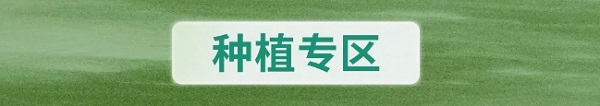 牙齿种植海报专区